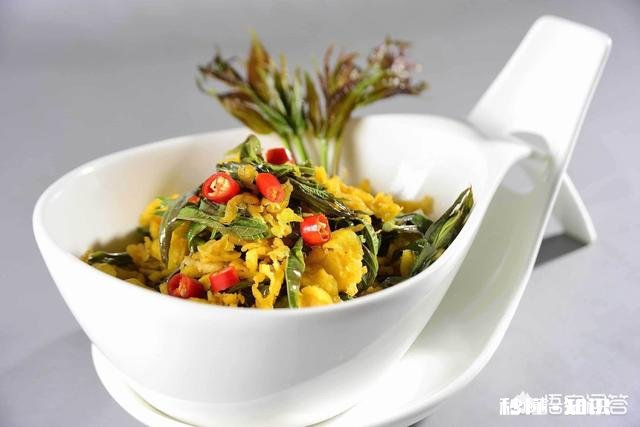 香椿为什么那么贵怎么种植在哪里能种植