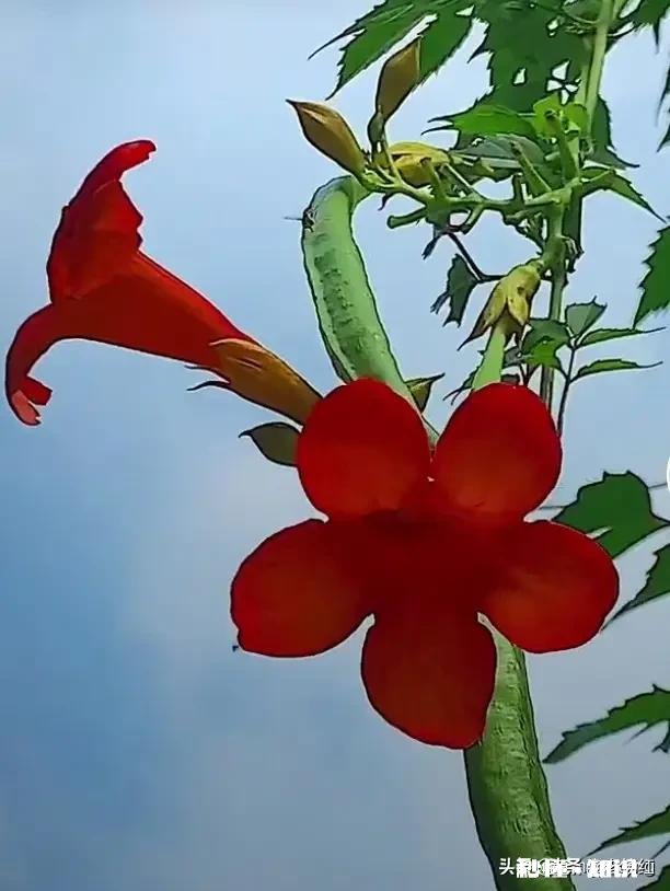 女方父亲年龄比男方父亲小却比男方母亲大该怎么称呼合适