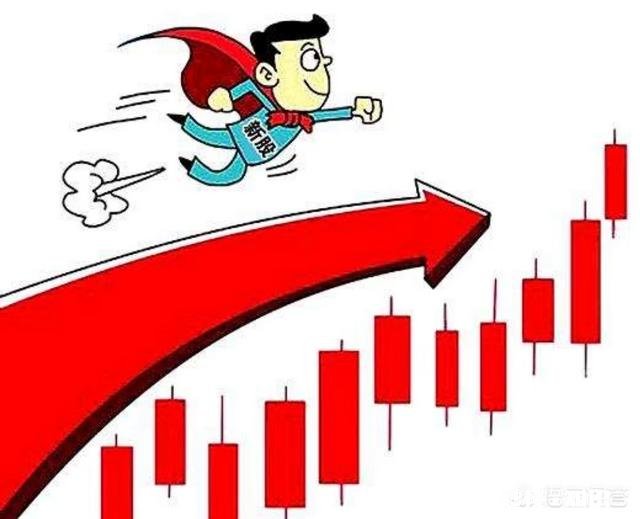 散户为什么拿不住大牛股，却能亏掉80%以上