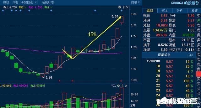 散户为什么拿不住大牛股，却能亏掉80%以上