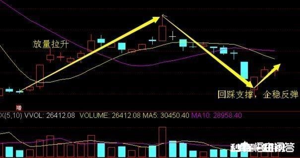 散户为什么拿不住大牛股，却能亏掉80%以上