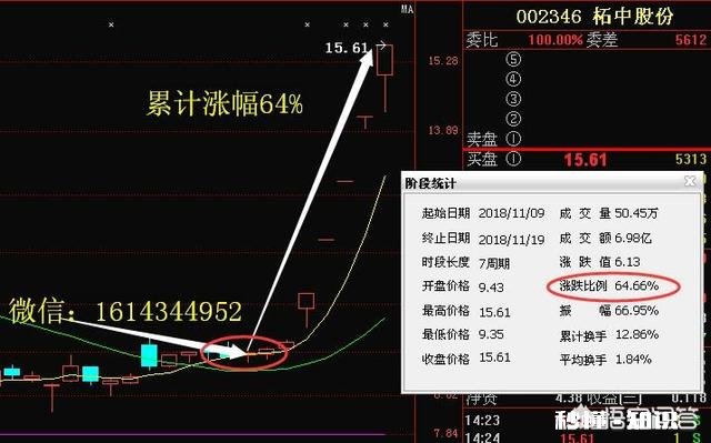散户为什么拿不住大牛股，却能亏掉80%以上