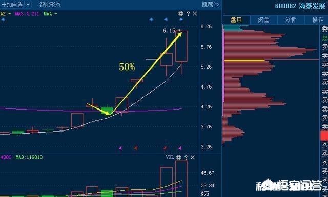 散户为什么拿不住大牛股，却能亏掉80%以上