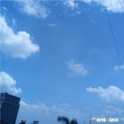 老婆前夫车祸死亡老婆说没有拿到赔偿是不是真的