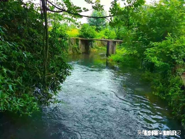 摩托车骑得很快，声音很大的那种。穿梭在各种街道。真的觉得自己很帅吗