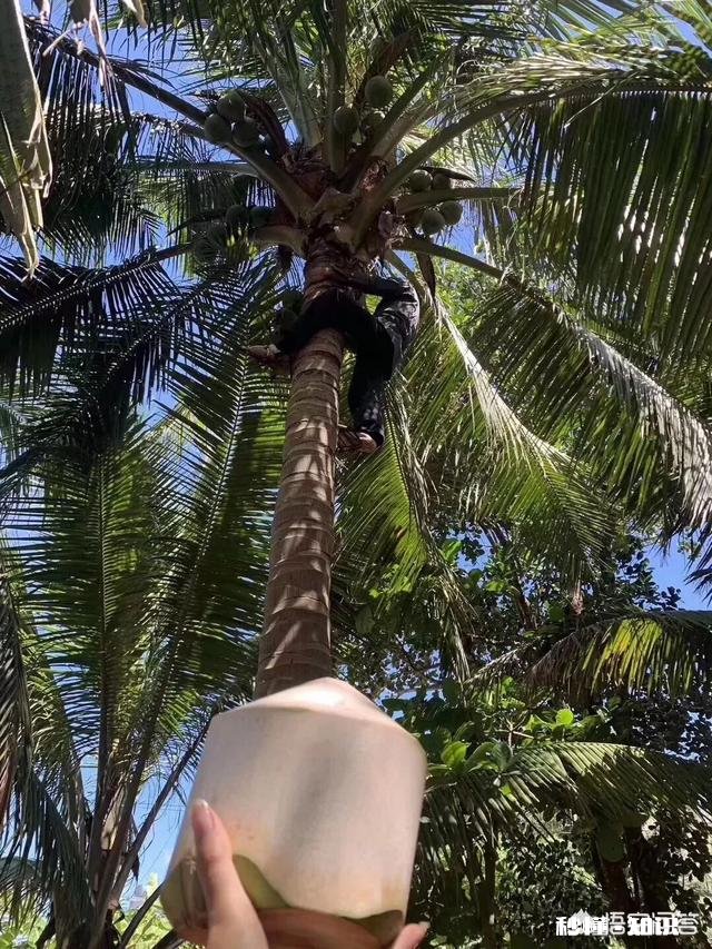 准备去三亚找工作，大家觉得在三亚工资多少才能够生活下去