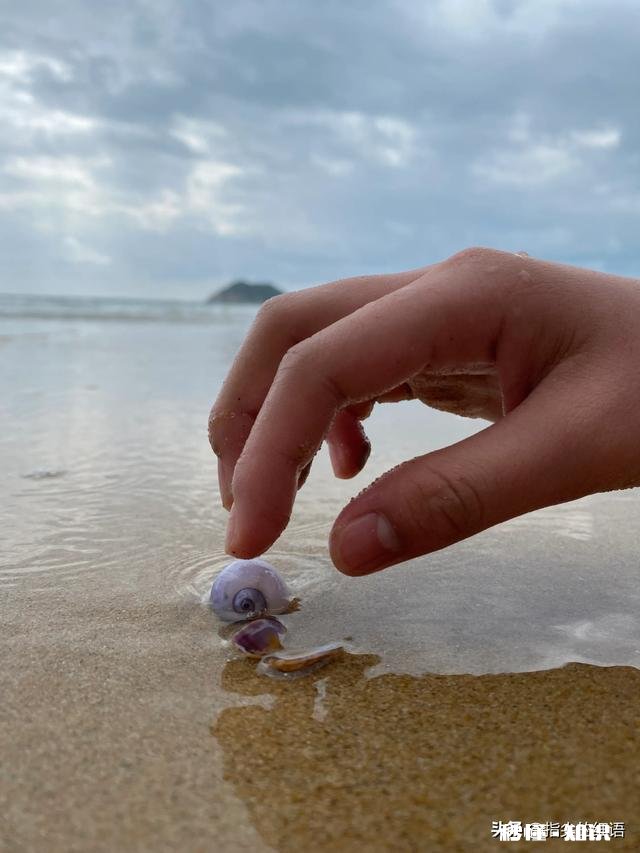为什么三亚成为旅游过年期间第一热门城市