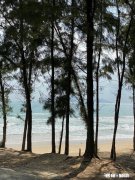 为什么三亚成为旅游过年期间第一热门城市