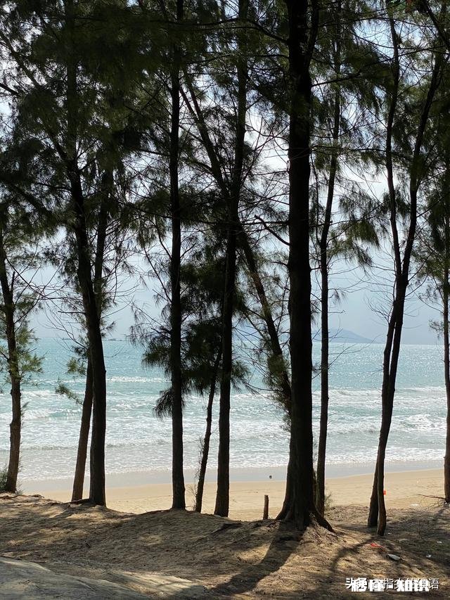 为什么三亚成为旅游过年期间第一热门城市