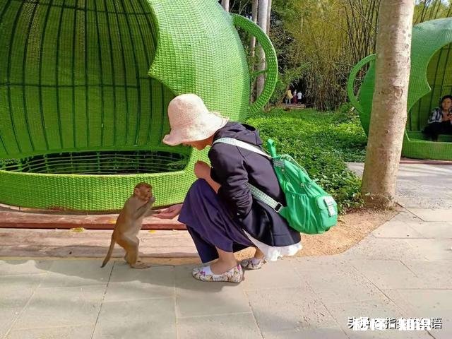 为什么三亚成为旅游过年期间第一热门城市