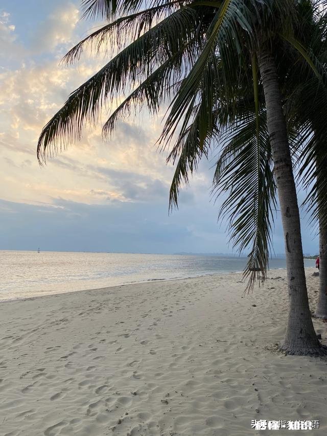 为什么三亚成为旅游过年期间第一热门城市