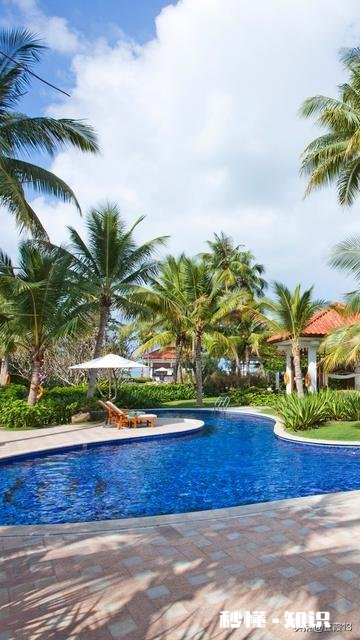 为什么三亚成为旅游过年期间第一热门城市