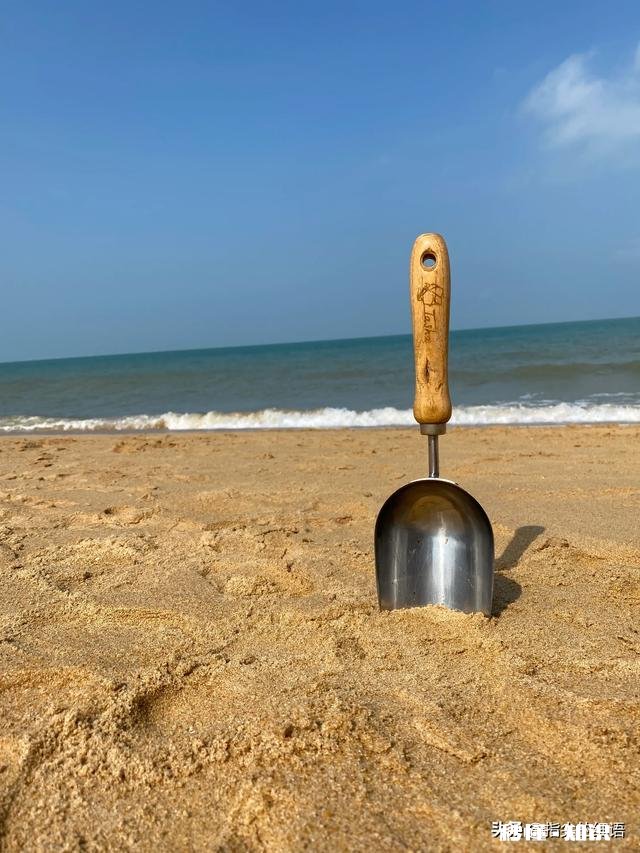 为什么三亚成为旅游过年期间第一热门城市