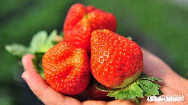 有什么水果，营养再高也不利于小孩吃