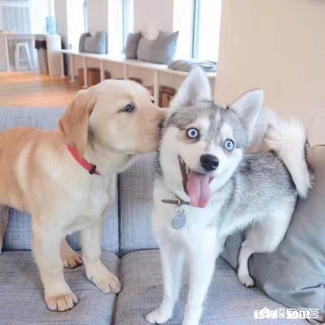 女生说分手后还会再来找你吗