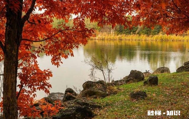 有哪些一读就有一种“书生意气，挥斥方遒”的句子推荐
