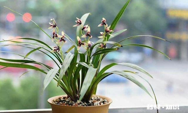 有哪些一读就有一种“书生意气，挥斥方遒”的句子推荐