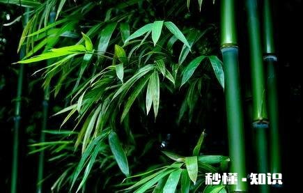 有哪些一读就有一种“书生意气，挥斥方遒”的句子推荐