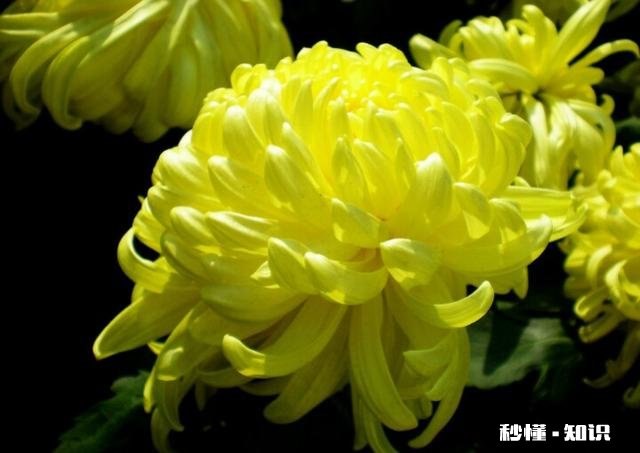 有哪些一读就有一种“书生意气，挥斥方遒”的句子推荐