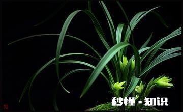 有哪些一读就有一种“书生意气，挥斥方遒”的句子推荐