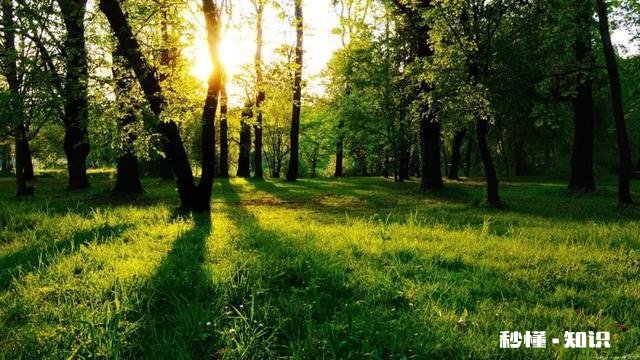 有哪些一读就有一种“书生意气，挥斥方遒”的句子推荐