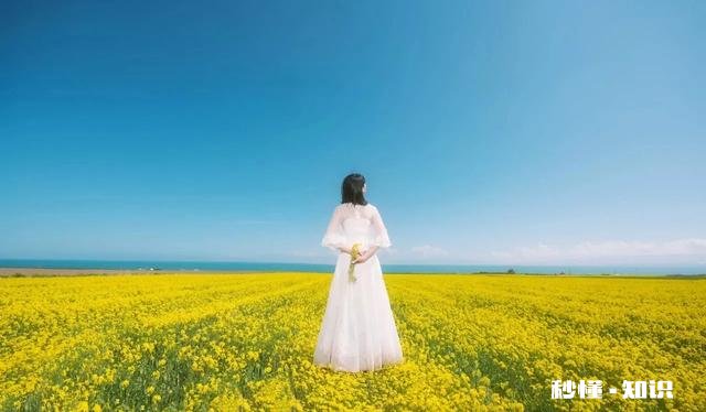 最近头条教你赚钱的人突然猛增，是不是读者流失太严重了