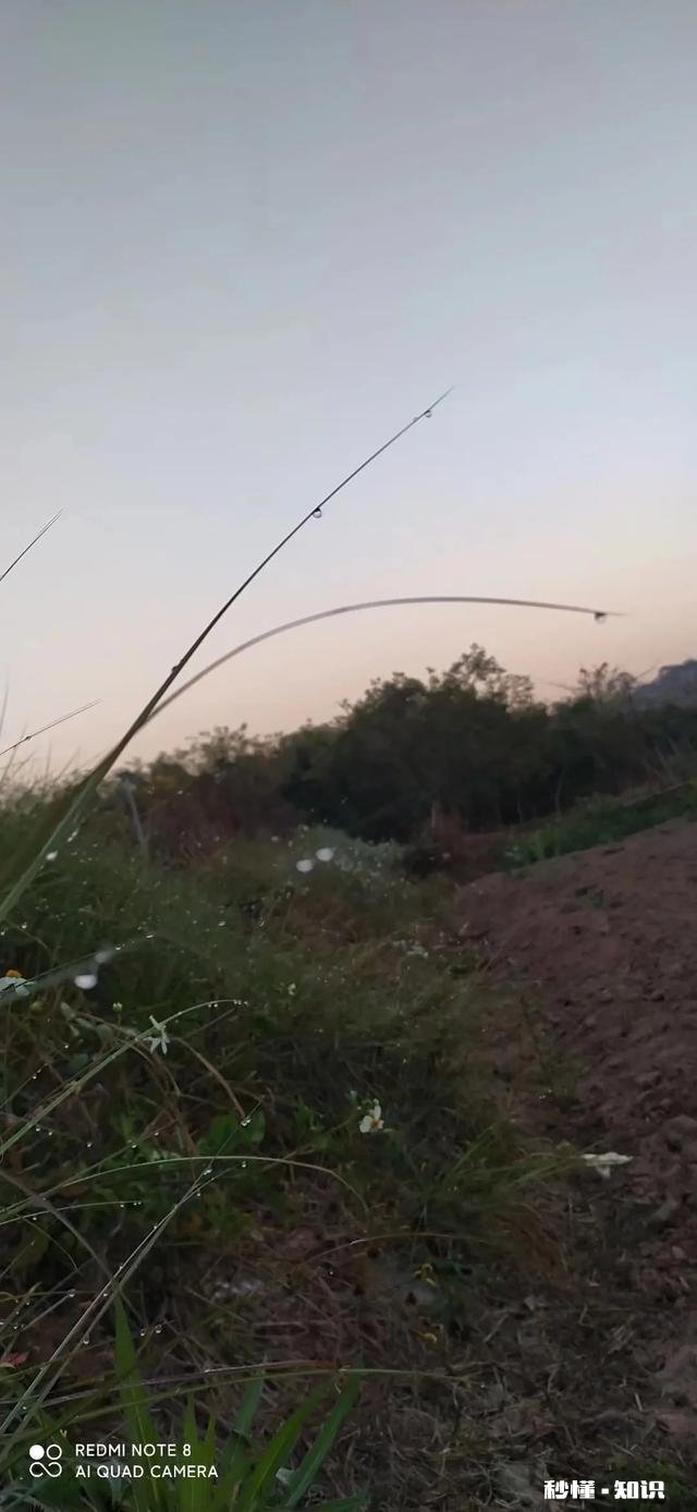 可以分享一下你们手机里下雨的照片吗