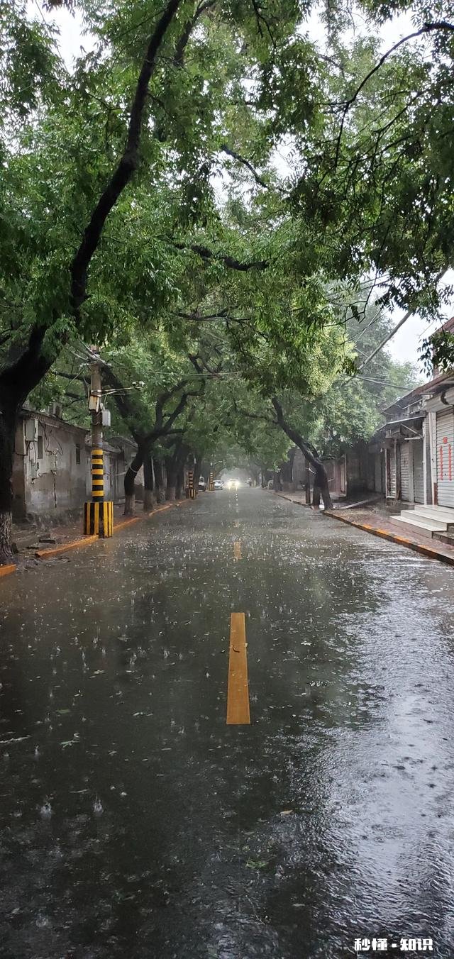 可以分享一下你们手机里下雨的照片吗