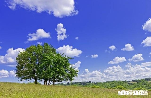 为什么有人觉得现在农村的河沟里鱼、虾、蟹等水生动物越来越少了呢