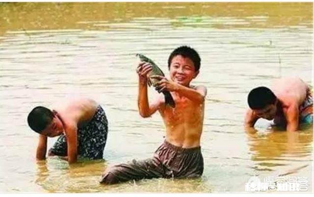 为什么有人觉得现在农村的河沟里鱼、虾、蟹等水生动物越来越少了呢