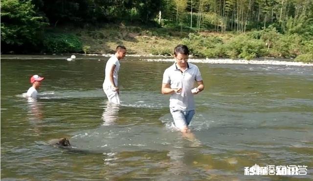 为什么有人觉得现在农村的河沟里鱼、虾、蟹等水生动物越来越少了呢