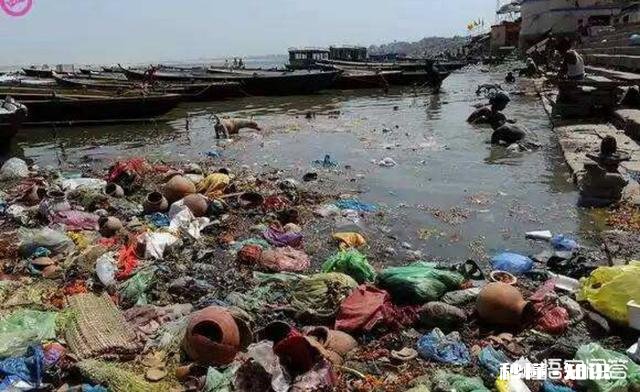 为什么有人觉得现在农村的河沟里鱼、虾、蟹等水生动物越来越少了呢