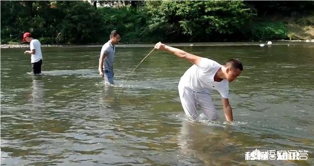 为什么有人觉得现在农村的河沟里鱼、虾、蟹等水生动物越来越少了呢