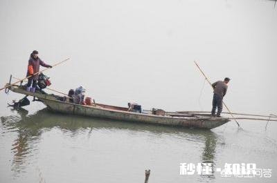 为什么有人觉得现在农村的河沟里鱼、虾、蟹等水生动物越来越少了呢