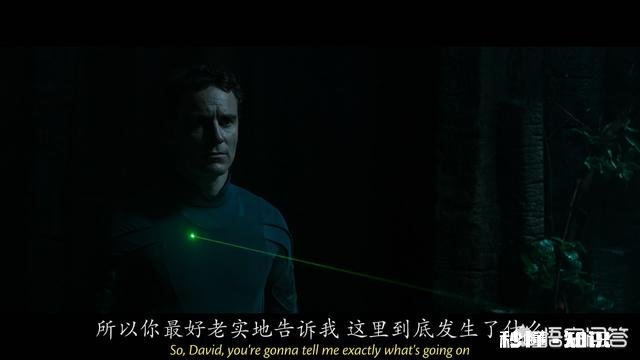 看电影时，遇到过哪些奇葩的剧情让你受不了