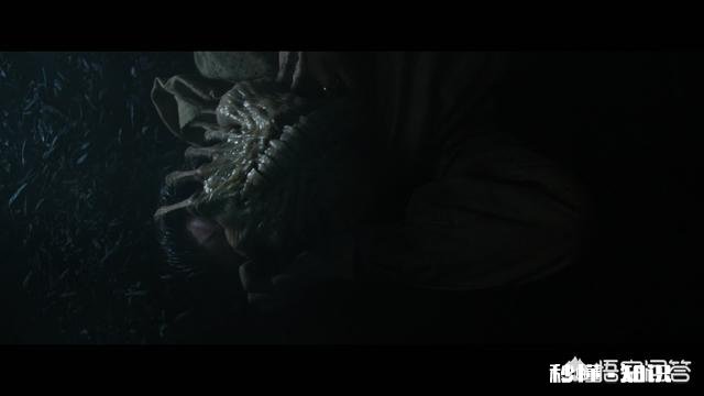 看电影时，遇到过哪些奇葩的剧情让你受不了