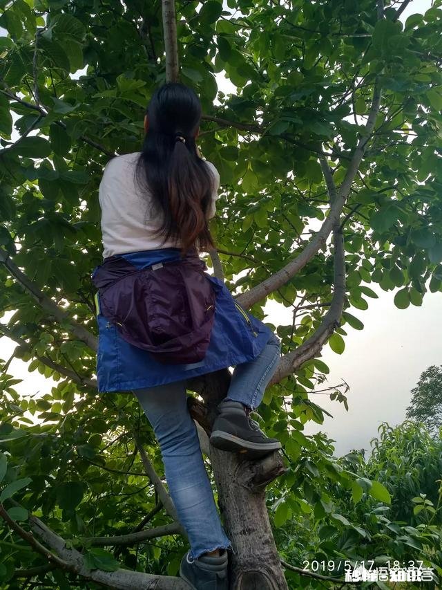 工作和旅游不可以兼得吗