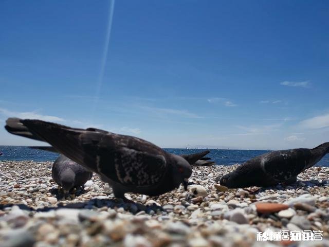 想暑假和老婆去欧洲游，由于假期有限，只能选择报团出游，有什么好推荐