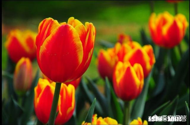 为什么有的半幅机拍的照片不清晰、不通透，这是什么原因