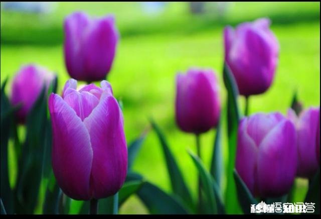 为什么有的半幅机拍的照片不清晰、不通透，这是什么原因