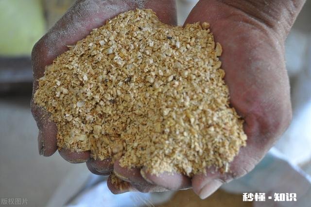 家里养了100头猪，想要自己做饲料，合适吗