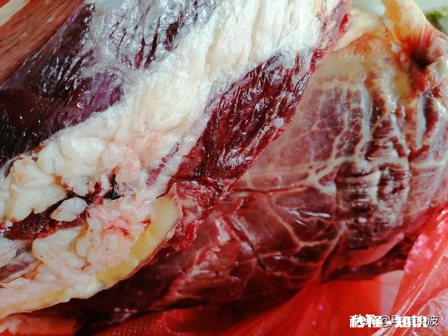 全国卤得最好的牛肉是哪里的