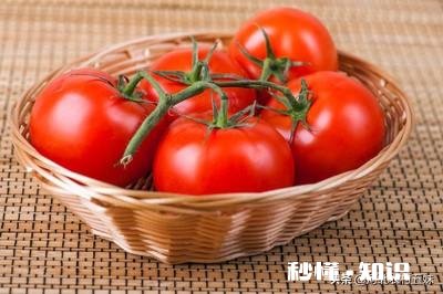 夏季哪些蔬菜不能吃或者最好少吃哪些农产品最受欢迎呢