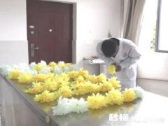 医学生第一次上解剖课是怎样一种体验