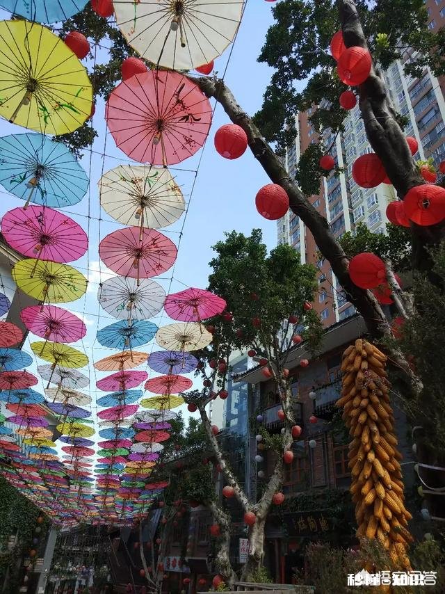 为什么有些人爱去云南旅游