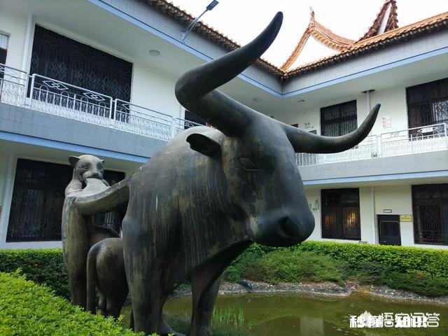 为什么有些人爱去云南旅游