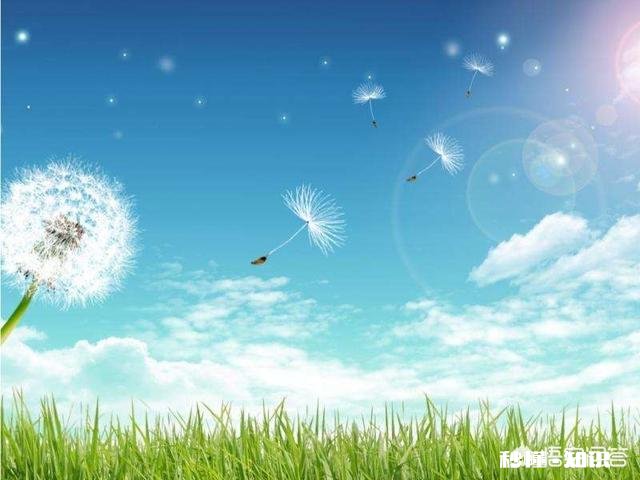 有人说自己无欲无求，也有些明星说绝不是为了钱去拍戏，对此你怎么看