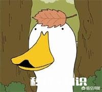 抛开欣赏内在，你会不会因为外貌体型而讨厌一个人呢