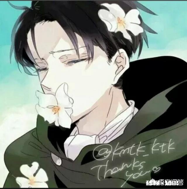 你觉得哪个动漫人物最帅