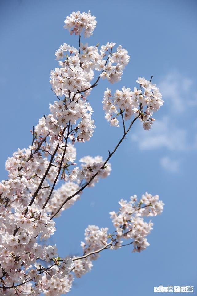 景区已经人山人海，如何拍一张有逼格的照片